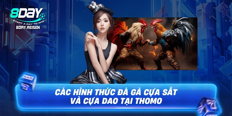 Đá gà Thomo - Đấu Trường Gà Chọi Hợp Pháp & Đẳng Cấp 2 Các hình thức đá gà cựa sắt và cựa dao tại Thomo
