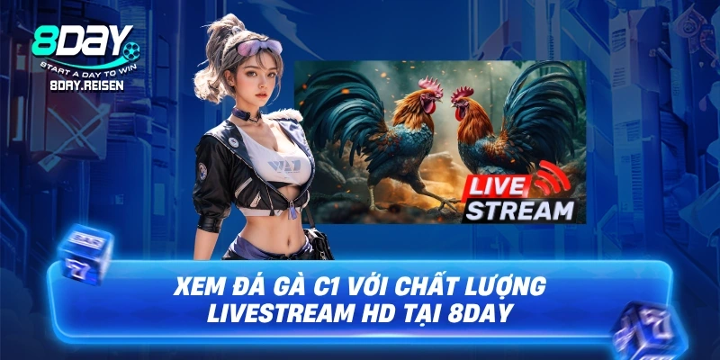 Đá gà C1 - Đẳng cấp của những trận cầu đỉnh cao 3 Xem Đá gà C1 với chất lượng livestream HD tại 8Day
