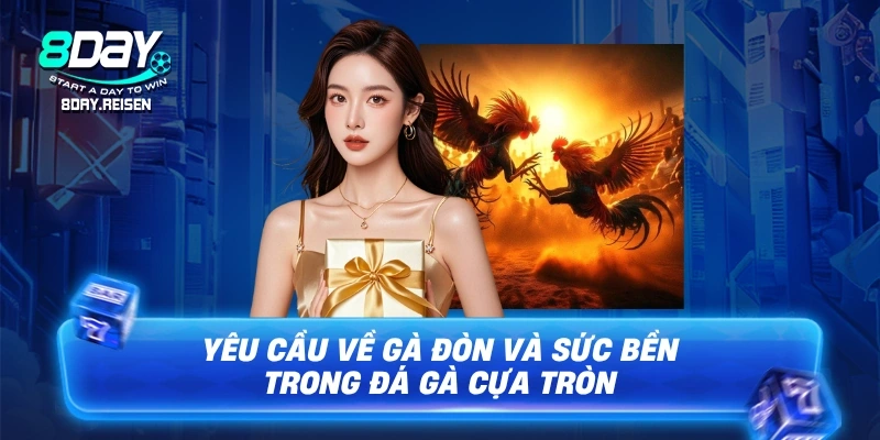Đá Gà Cựa Tròn | Nghệ Thuật Chọi Gà Đỉnh Cao 2 Yêu cầu về gà đòn và sức bền trong Đá gà cựa tròn