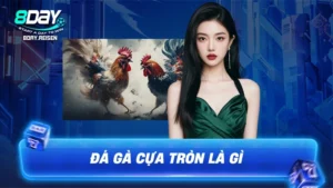 Đá Gà Cựa Tròn | Nghệ Thuật Chọi Gà Đỉnh Cao