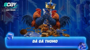 Đá gà Thomo - Đấu Trường Gà Chọi Hợp Pháp & Đẳng Cấp