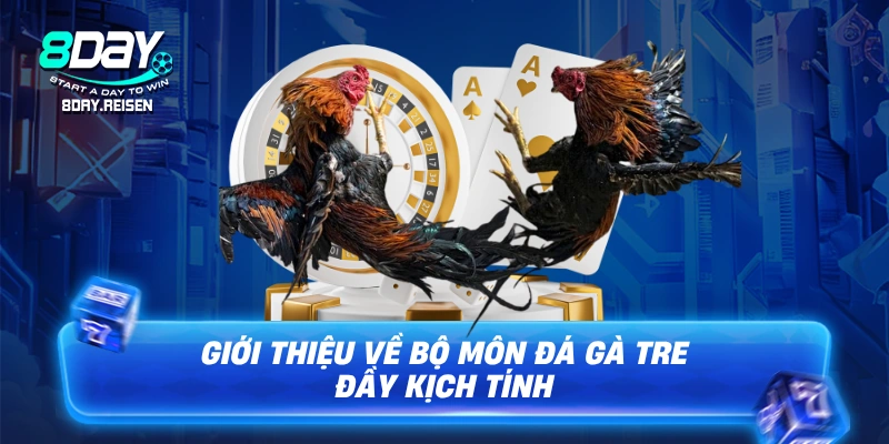Giới thiệu về bộ môn Đá gà tre đầy kịch tính