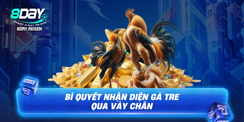 Bí quyết nhận diện gà tre qua vảy chân