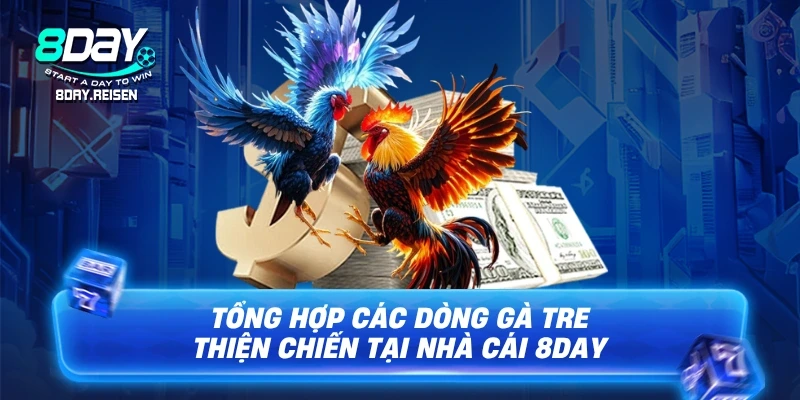 Tổng hợp các dòng gà tre thiện chiến tại nhà cái 8Day