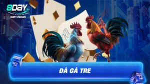 Đá Gà Tre - Bí Kíp Xem Và Chọn Kê Đỉnh Cao